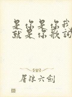 是你是你我爱的就是你歌词是什么歌