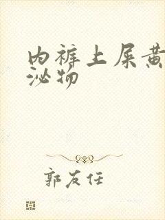 内裤上屎黄色分泌物