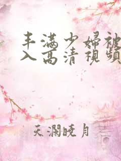 丰满少妇被猛进入高清视频