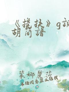 《搀扶》g调二胡简谱