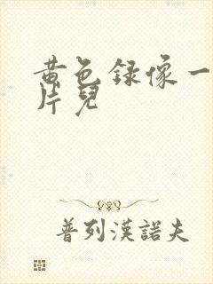 黄色录像一级大片儿