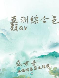 亚洲综合色区另类av