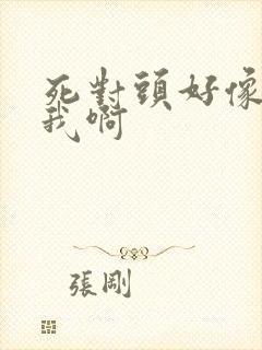 死对头好像喜欢我啊