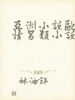 亚洲小说欧美激情另类小说