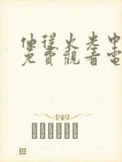 他从火光中走来免费观看电视剧全集