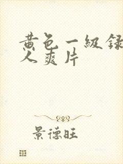 黄色一级录像成人爽片