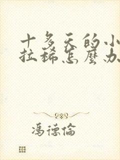 十多天的小猪仔拉稀怎么办