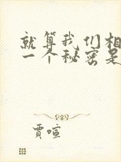 就算我们相爱是一个秘密是什么歌