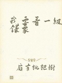 我要看一级黄色录象