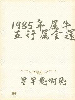 1985年属牛五行属金还是木?
