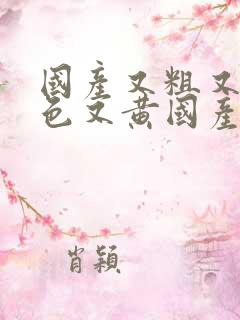 国产又粗又猛又色又黄国产精品