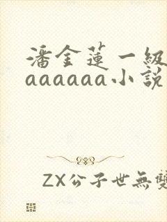 潘金莲一级淫片aaaaaa小说