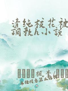 清纯校花被地狱调教h小说