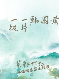 一一韩国黄色一级片'