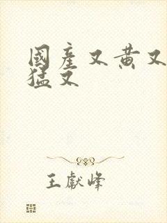 国产又黄又粗又猛又