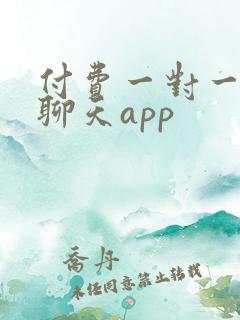 付费一对一视频聊天app