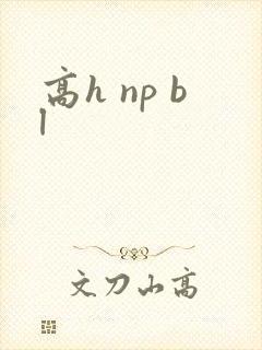 高h np bl