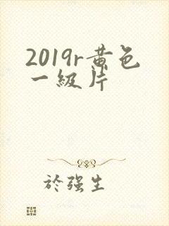 2019r黄色一级片