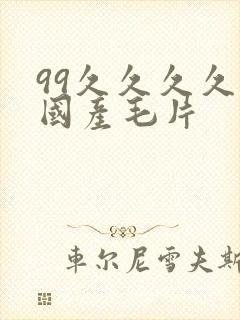 99久久久久久国产毛片
