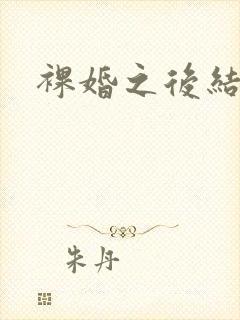 裸婚之后结局