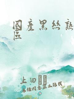 国产黑丝熟女一区