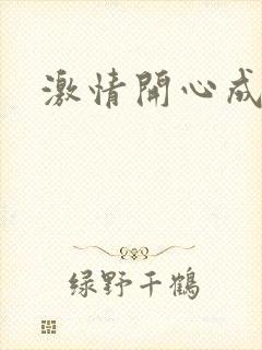 激情开心成人网