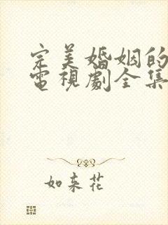 完美婚姻的定式电视剧全集免费观看