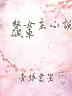 双女主小说高速飙车