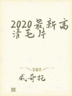 2020最新高清毛片