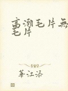 高潮毛片无遮挡毛片