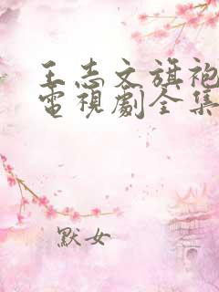 王志文旗袍旗袍电视剧全集