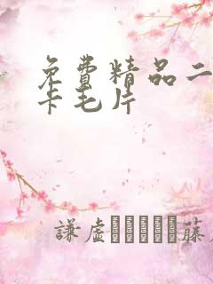 免费精品二区不卡毛片