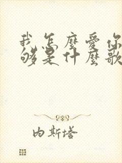 我怎么爱你都不够是什么歌