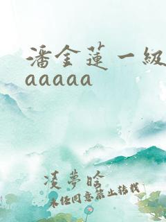 潘金莲一级乳片aaaaa