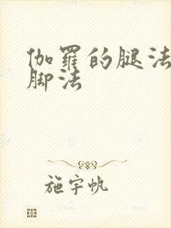 伽罗的腿法熟练脚法