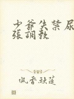 少爷失禁尿孔扩张调教