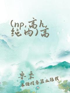 (np,高h,纯肉)高