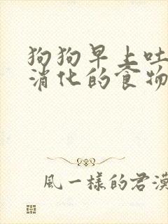 狗狗早上吐了没消化的食物