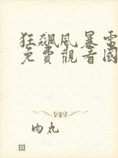 狂飙风暴电视剧免费观看国语