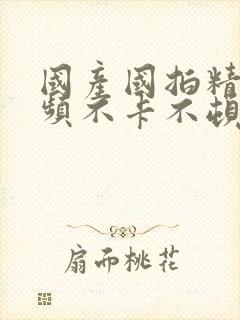 国产国拍精品视频不卡不顿av