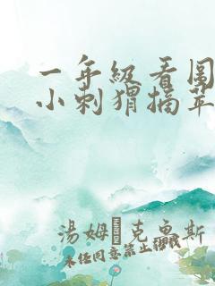 一年级看图写话小刺猬摘苹果