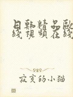 日韩精品欧美在线视频在线