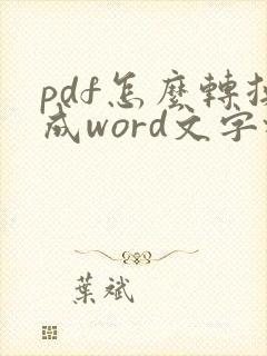 pdf怎么转换成word文字格式