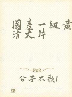 国产一级黄色高清大片