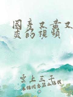 国产又黄又色又爽的视频