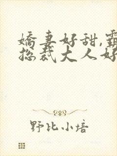 娇妻好甜,霸道总裁大人好凶猛