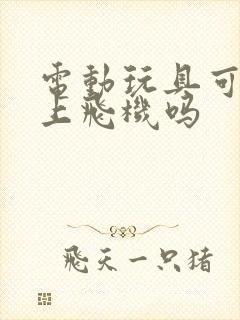 电动玩具可以带上飞机吗