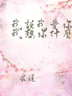 我说我爱你我说我想你什么歌