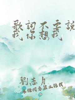 歌词不要说你爱我你想我