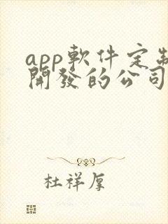 app软件定制开发的公司哪家好